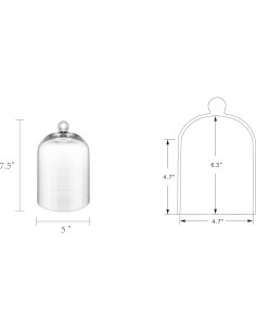 Campana de vidrio hecha a mano 19 cm para terrario y decoración 2