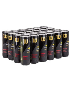 Funda Dura para Pelotas de Tenis Wilson US Open
