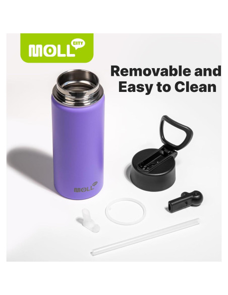 Botella de Agua Mollcity 473 ml Acero Inoxidable Verde Hierba