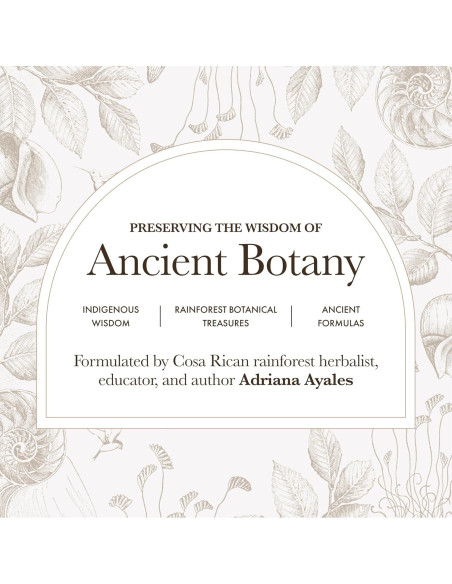 Polvo de Flor de Guisante Mariposa Anima Mundi 127.6 g - Colorante Orgánico y Té