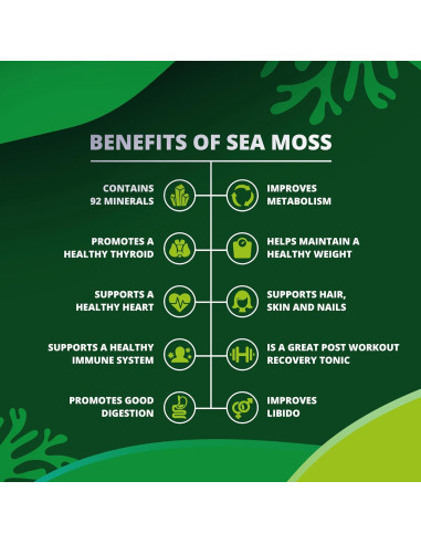 Cápsulas de Musgo Marino New Earth 60 Unidades - Suplemento Nutricional