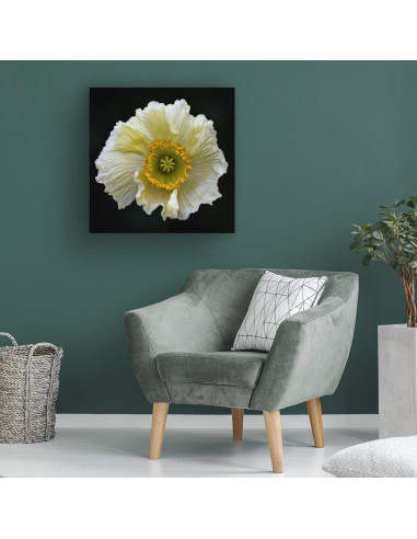 Arte en Lienzo Fabien Bravin Flor Roja 55.88x81.28 cm