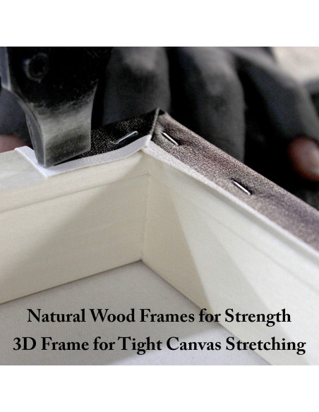 Arte en Lienzo Fabien Bravin Flor Roja 55.88x81.28 cm