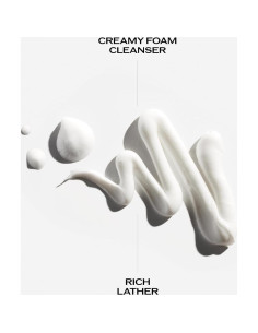 Set de Cuidado Facial Shiseido: Espuma Limpiadora 125 mL + Crema Diurna 50 mL 2