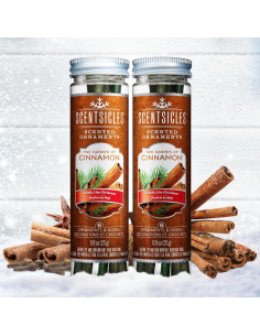 Adornos Aromatizados Scentsicles Canela - 2 Botellas (12 Varitas) 2