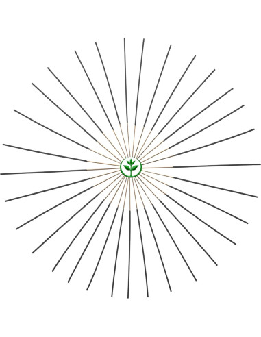 Incienso Balsamo y Cedro Plant Guru 500 Varitas 27.94 cm
