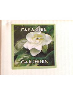 Incienso de Resina Natural Hecho a Mano 80g - Casa de Dios 2