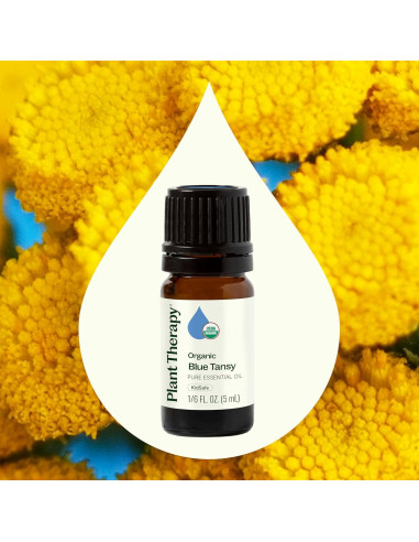 Aceite Esencial de Tanaceto Azul Orgánico 5mL - Plant Therapy