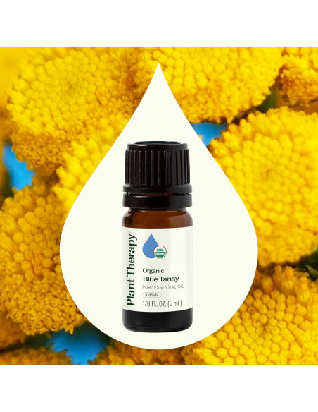 Aceite Esencial de Tanaceto Azul Orgánico 5mL - Plant Therapy