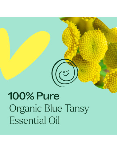 Aceite Esencial de Tanaceto Azul Orgánico 5mL - Plant Therapy