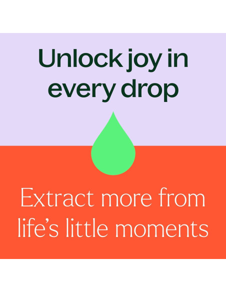 Aceite Esencial de Tanaceto Azul Orgánico 5mL - Plant Therapy