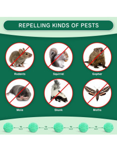 Repelente Natural de Roedores PestXDrops 14 Piezas Menta 2
