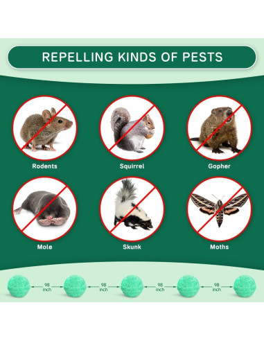 Repelente Natural de Roedores PestXDrops 14 Piezas Menta