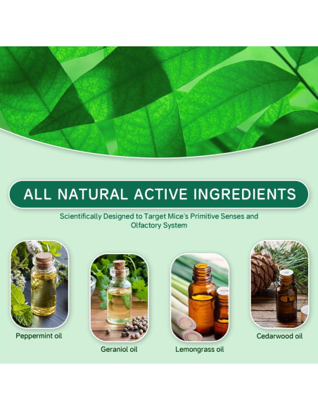 Repelente Natural de Roedores PestXDrops 14 Piezas Menta