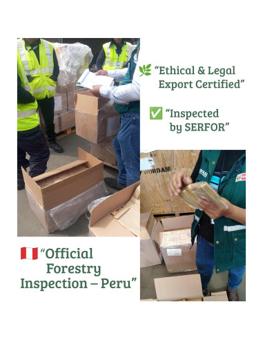 Varitas de Palosanto Premium PACHAKHESPY - 8 Unidades 100% Natural