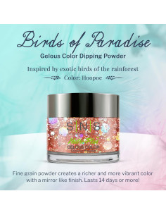 Polvo Dip para Uñas SNS Hoopoe Metálico 28 g - Larga Duración 2