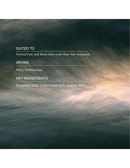 Champú Clásico Aesop 500 mL | Fórmula Suave para Cabello Brillante