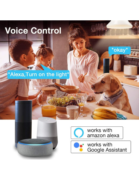 Bombillas Inteligentes DAYBETTER RGBCW Wi-Fi E26 9W 800LM Paquete de 4