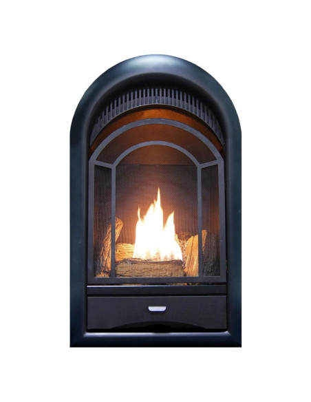 Inserto Chimenea Gas ProCom Doble Combustible 10000 BTU Negro