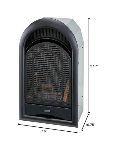 Inserto Chimenea Gas ProCom Doble Combustible 10000 BTU Negro