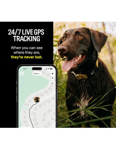 Collar GPS inteligente para perros Fi Series 3 - Azul Grande 2