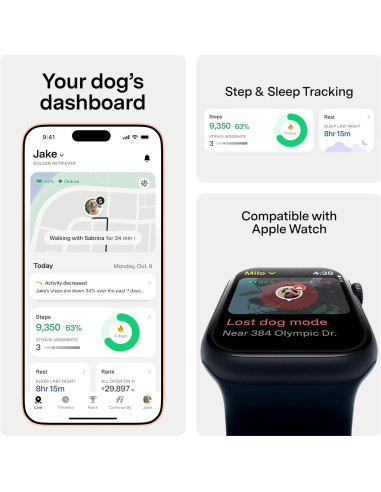 Collar Inteligente Fi 3+ para Perros Pequeños - GPS, Salud, Azul