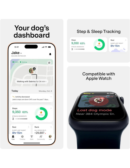 Collar Inteligente Fi 3+ para Perros Pequeños - GPS, Salud, Azul