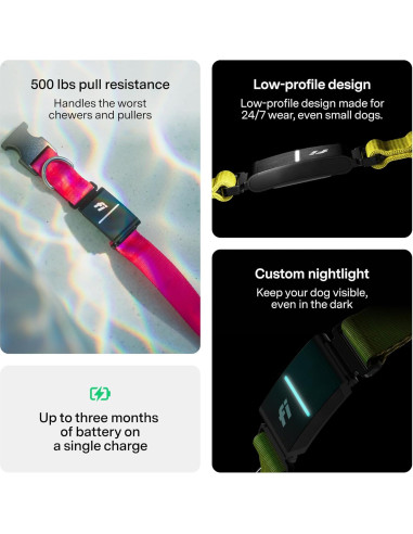 Collar Inteligente Fi 3+ para Perros Pequeños - GPS, Salud, Azul