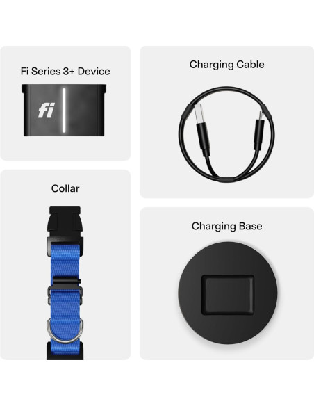 Collar Inteligente Fi 3+ para Perros Pequeños - GPS, Salud, Azul