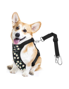 Cinturón de Seguridad para Perros VavoPaw Arnés Ajustable M
