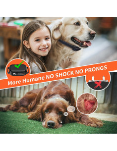 Collar de Entrenamiento PaiPaitek Sin Choque 1000m Impermeable 2