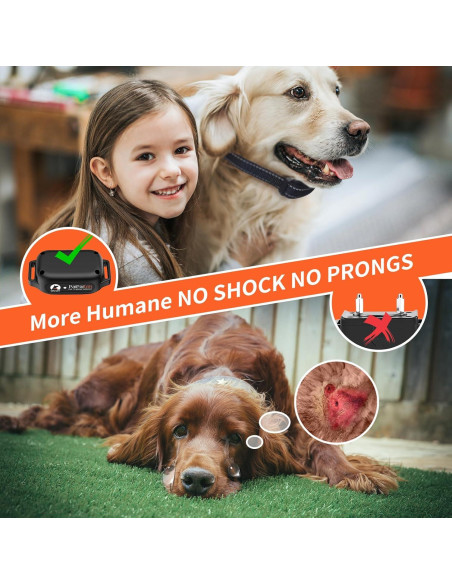 Collar de Entrenamiento PaiPaitek Sin Choque 1000m Impermeable