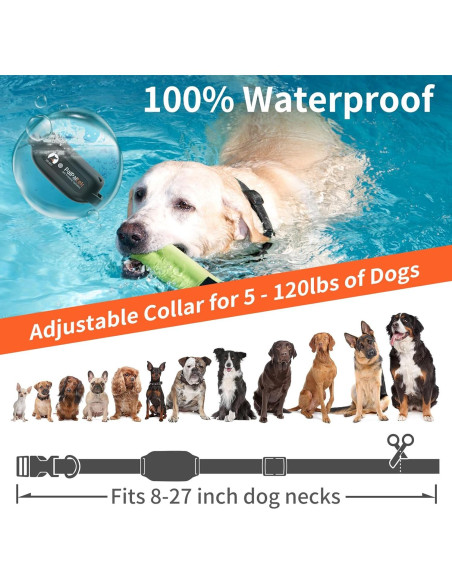 Collar de Entrenamiento PaiPaitek Sin Choque 1000m Impermeable