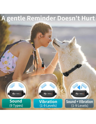 Collar de Entrenamiento PaiPaitek Sin Choque 1000m Impermeable