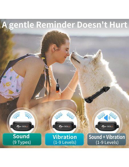 Collar de Entrenamiento PaiPaitek Sin Choque 1000m Impermeable