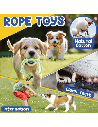 Juguetes para Cachorros PatsFran - Paquete de 9 Interactivos