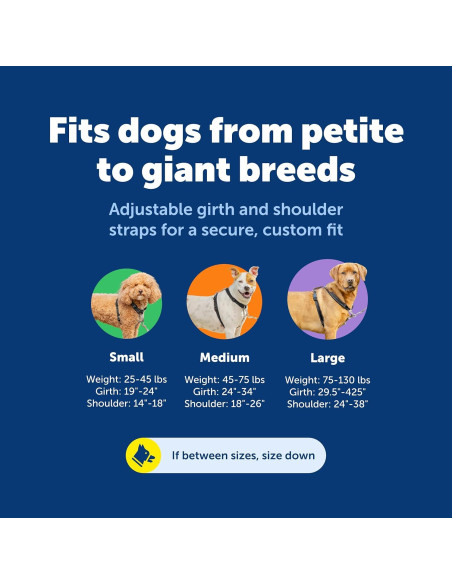 Arnés 3-en-1 PetSafe Grande Negro con Correa de Control