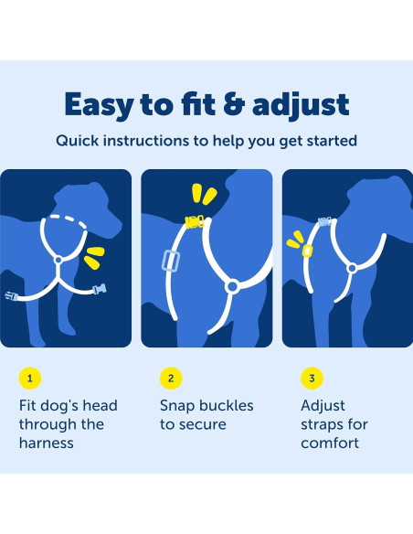 Arnés 3-en-1 PetSafe Grande Negro con Correa de Control