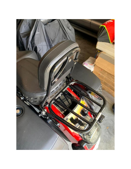 Portaequipajes Sissy Bar Eumti para Harley Softail 2018-2024