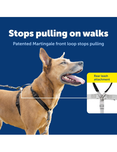 Arnés 3-en-1 PetSafe Mediano Negro con Correa de Control