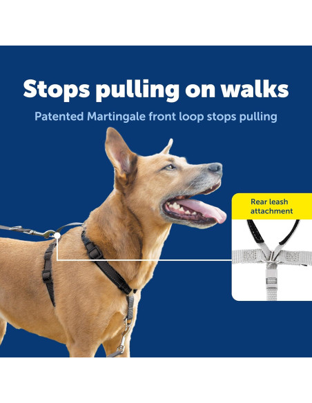 Arnés 3-en-1 PetSafe Mediano Negro con Correa de Control