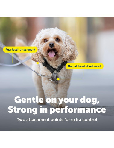 Arnés 3-en-1 PetSafe Mediano Negro con Correa de Control