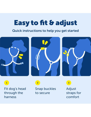 Arnés 3-en-1 PetSafe Mediano Negro con Correa de Control