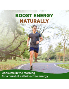 Polvo de Raíz de Diente de León Go Nutra 226.8 g - Antioxidante 2