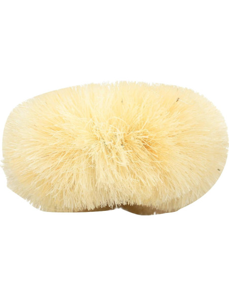 Cepillo de Espalda Removible Earth Therapeutics 45.7cm