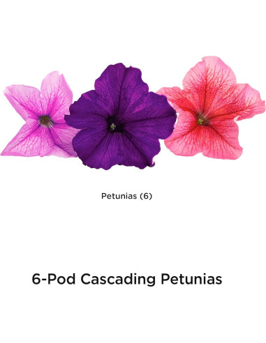 Kit de 6 cápsulas de semillas de Petunias en Cascada AeroGarden