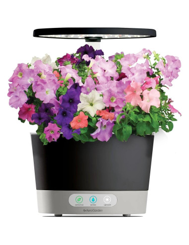 Kit de 6 cápsulas de semillas de Petunias en Cascada AeroGarden