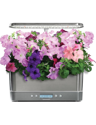 Kit de 6 cápsulas de semillas de Petunias en Cascada AeroGarden
