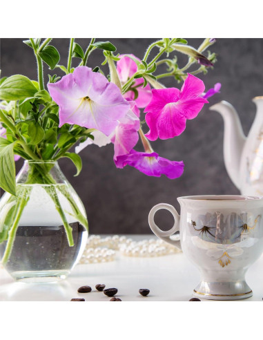 Kit de 6 cápsulas de semillas de Petunias en Cascada AeroGarden