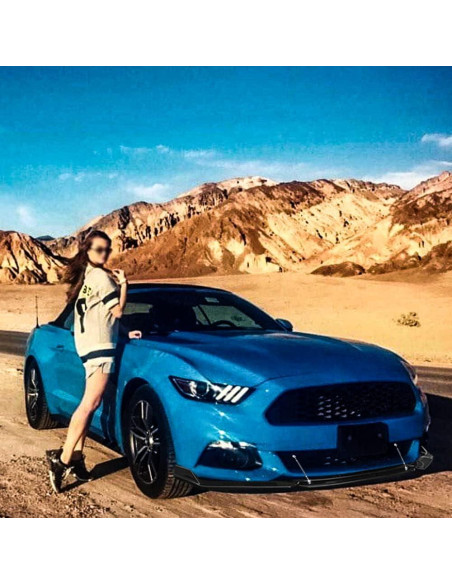 Divisores de Labio Frontal Negro DREAMIZER para Autos Universales